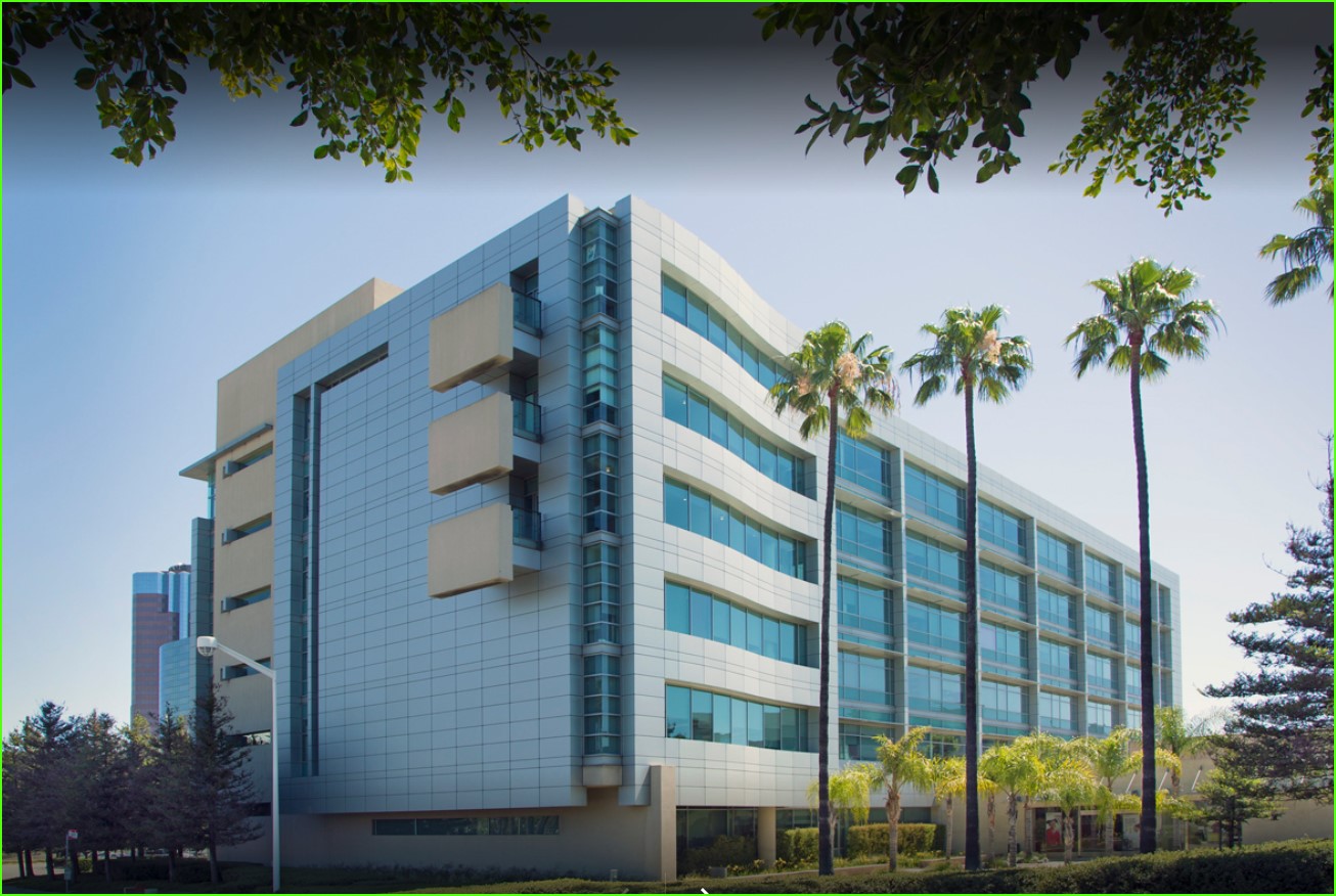 The California State University System California State University